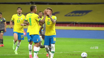 Comemoracao Selecao GIF by Confederação Brasileira de Futebol