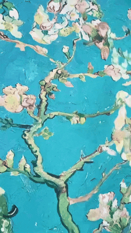 Live GIF