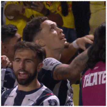 Rayados De Monterrey GIF by BARSUK