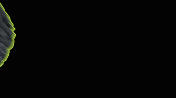 Greenbase eG GIF