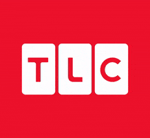 Tv Show Television GIF