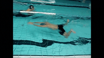 isivaqueiro  GIF