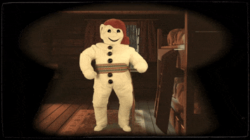 Carnaval de Québec GIF