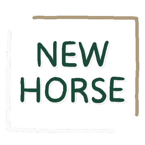 LG Sporthorses Sticker