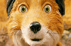 fantastic mr fox