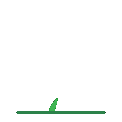 Semente Germinar Sticker by Terra Greda