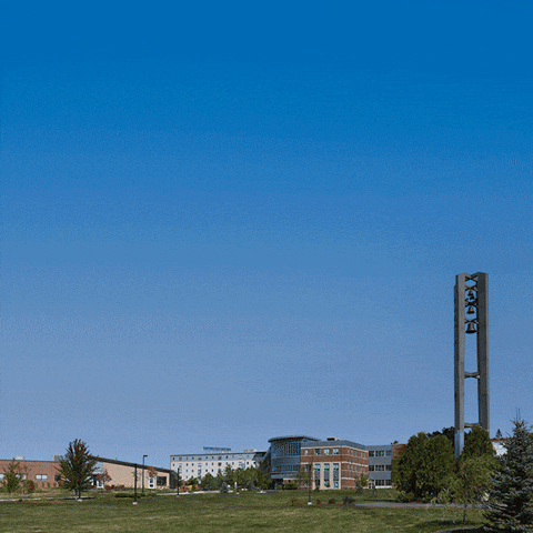 Husson University Baldwin GIF by HussonU