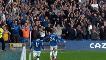 Celebration GIF by Everton Football Club