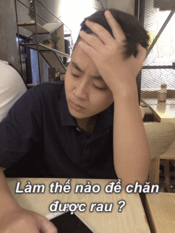 hoanle  GIF