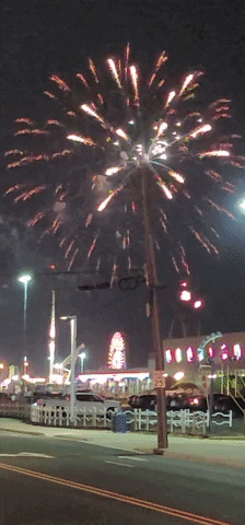 Independence Day Party GIF by No Cheese Records