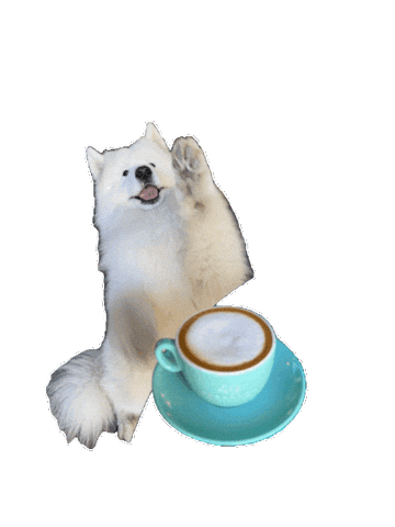 Coffee Dub Sticker
