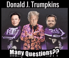 Many Questions GIF by Florida Man Shades