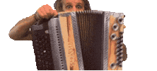 Harmonika Sticker by Rampenhirsche