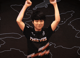 Lets Go Good Job GIF by 100 Thieves