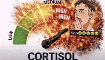 Instagram Cortisol GIF