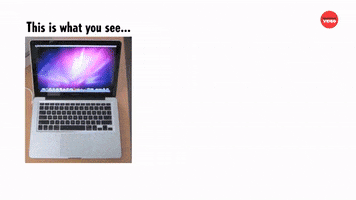 Cats Laptop GIF by BuzzFeed