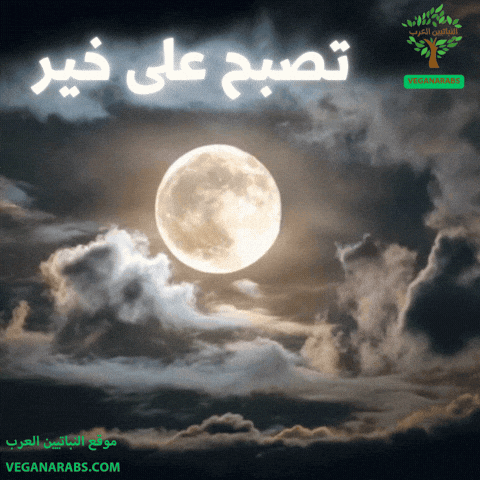 Good Night Clouds GIF by VeganArabs