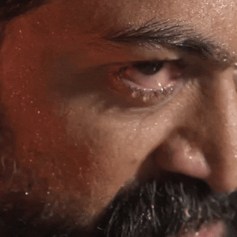 Beard GIF by Divo Music