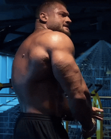 Alaf10 GIF