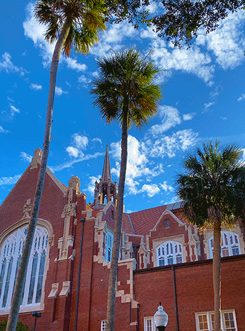 University Auditorium College GIF by University of Florida