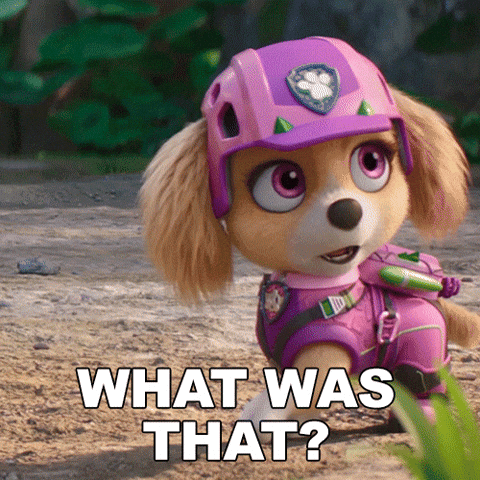 Whats Happening What GIF by Paw Patrol Movies