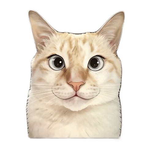 Cat GIF