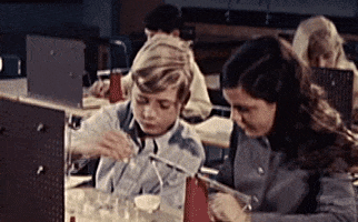 Friends School GIF by Texas Archive of the Moving Image