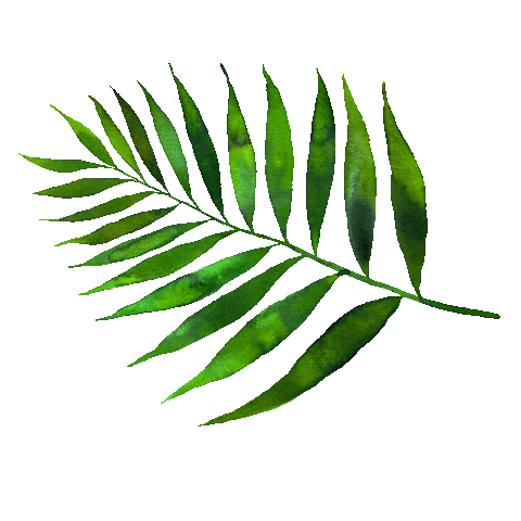 Johnys Jungle Sticker