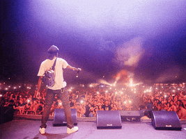 RapTV GIF