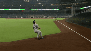 Fly Out New York Yankees GIF by Jomboy Media