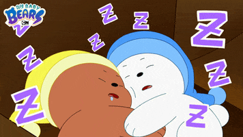 Ice Bear Bears GIF by Cartoon Network