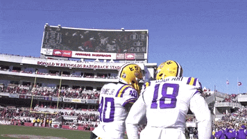 Celebrate College Football GIF by LSU Tigers
