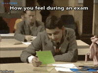 10 study tips with funny and cute GIFs for final exam season - Skooli Online Tutoring