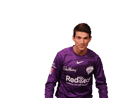 Cricket Bbl Sticker by Hobart Hurricanes