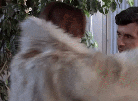 Hugs GIF
