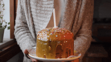 binatangerina party birthday cake GIF