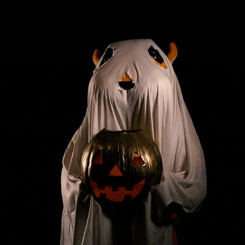 Halloween Ghost GIF by Towson University