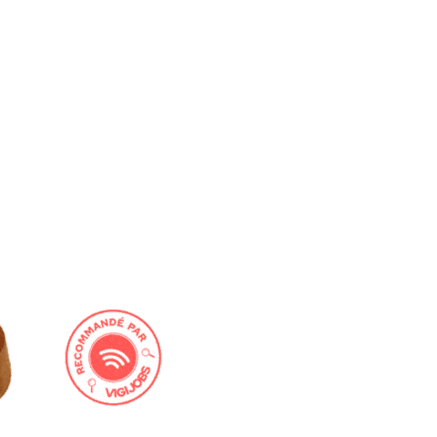 Check Tampon Sticker by VigiJobs