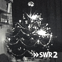Merry Christmas GIF by SWR2