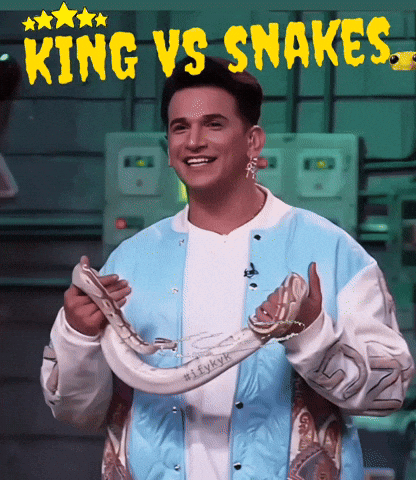 Prince Roadies GIF