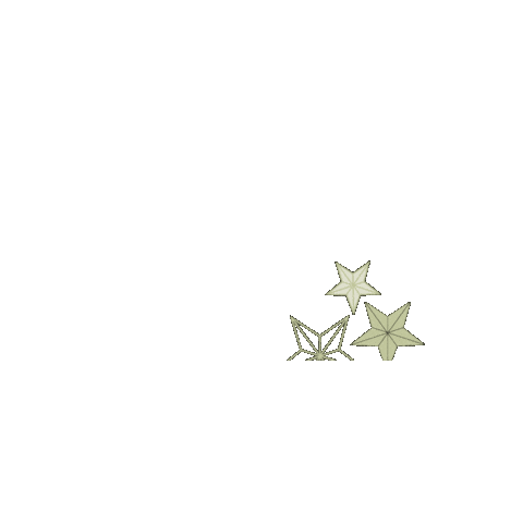 Paper Starlights Sticker
