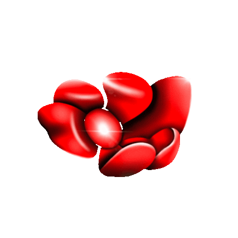 Zuzeumsummerfestival Sticker by Zuzeum