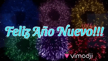 Feliz Ano Nuevo GIF by Vimodji