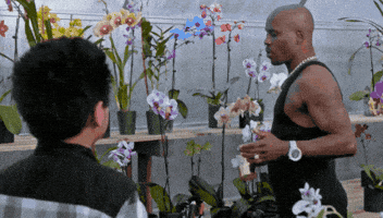 Fresh Off The Boat Flowers GIF