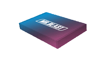Mr. Blast Sticker