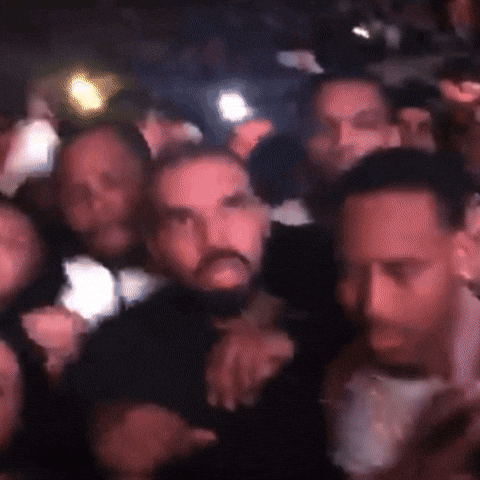 Drake Cheering GIF