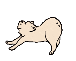 Miss Sticker