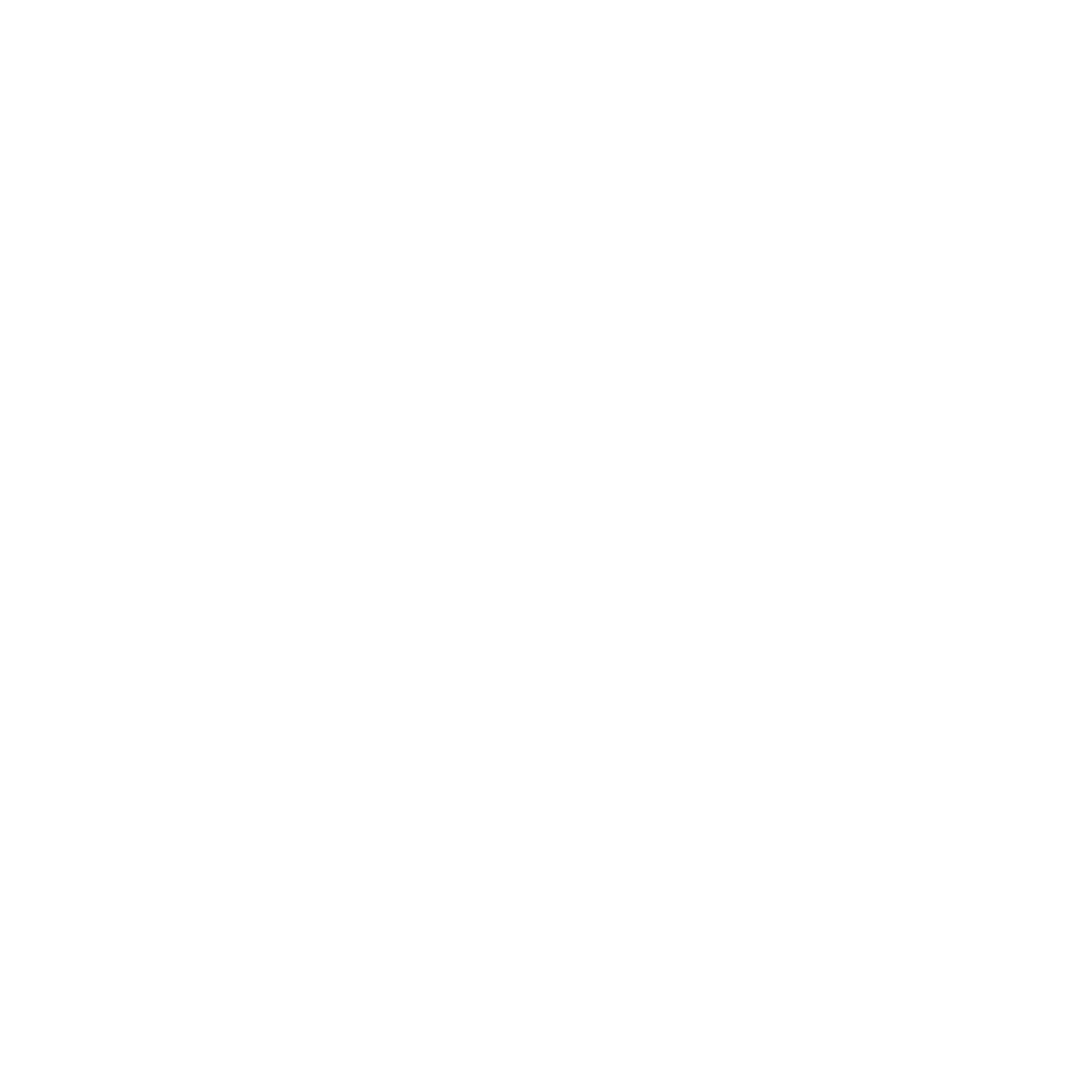 Rijnijssel Sticker