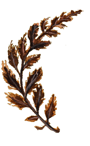 Nature Sticker