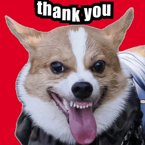 Thank You GIF